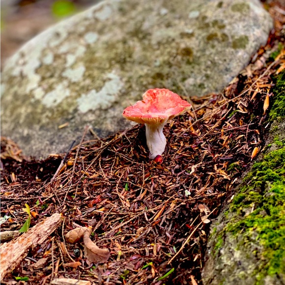 Jewelry - NEW INVENTORY 🌞